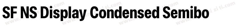 SF NS Display Condensed Semibold字体转换